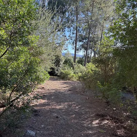 Casa vacanze Lentisco Terra E Mare Porto Azzurro