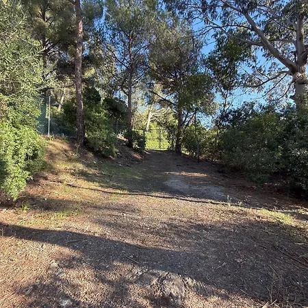 Lentisco Terra E Mare *