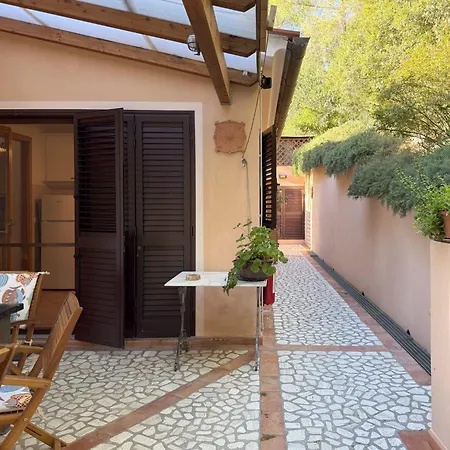 Lentisco Terra E Mare *