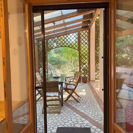 Lentisco Terra E Mare