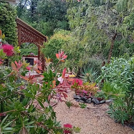 Lentisco Terra E Mare Casa de Férias Porto Azzurro