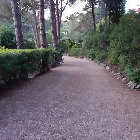 Lentisco Terra E Mare Casa de Férias