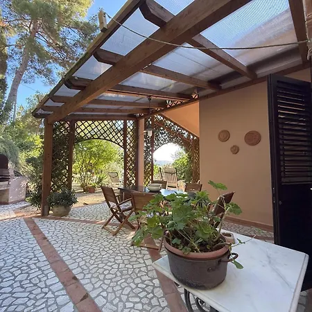 Lentisco Terra E Mare