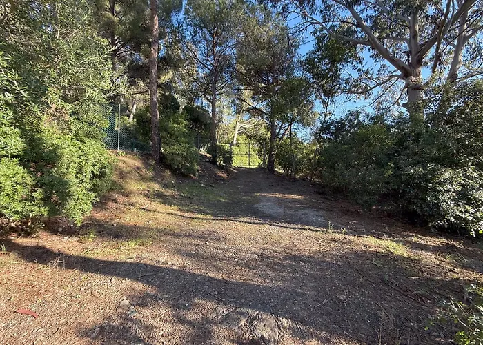 Lentisco Terra E Mare *